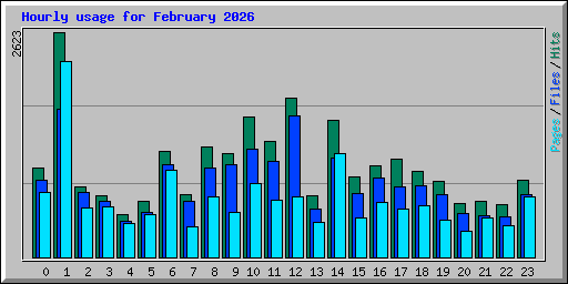 Hourly usage for February 2026