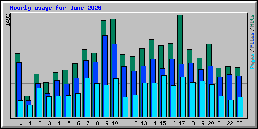 Hourly usage for June 2026