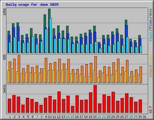 Daily usage for June 2025