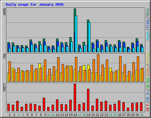 Daily usage for January 2026
