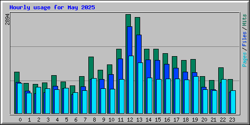 Hourly usage for May 2025