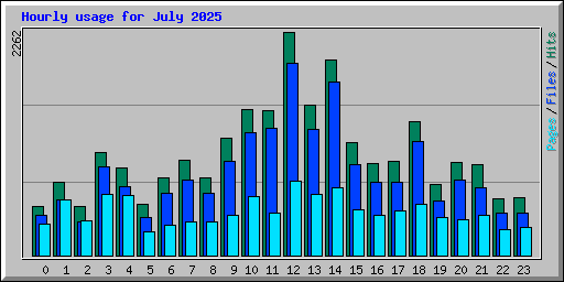 Hourly usage for July 2025