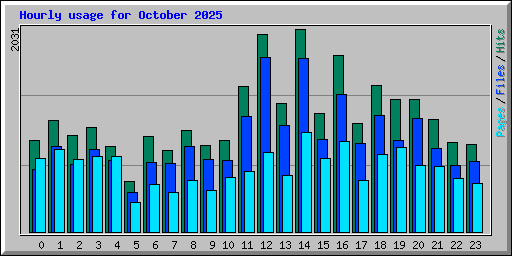 Hourly usage for October 2025