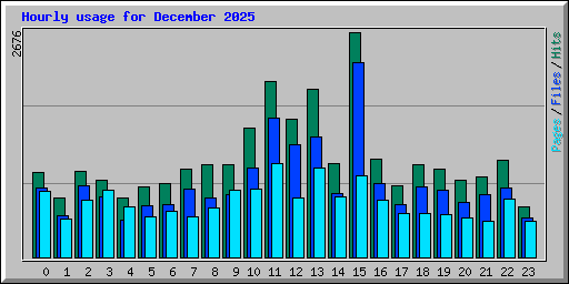 Hourly usage for December 2025