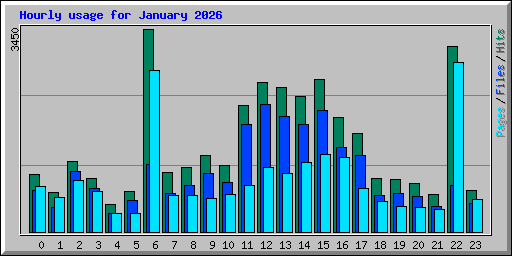 Hourly usage for January 2026