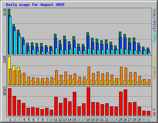 Daily usage for August 2025