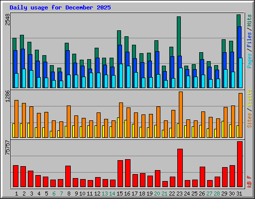 Daily usage for December 2025
