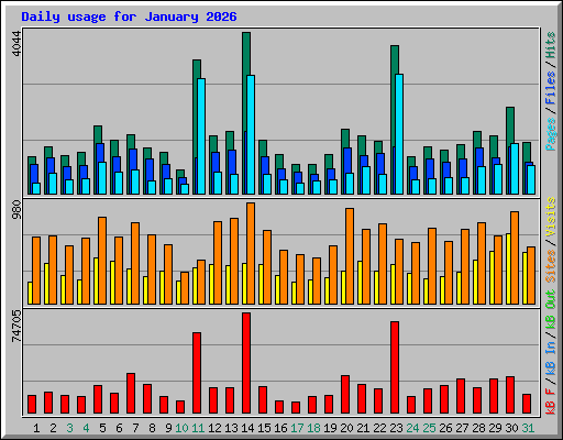 Daily usage for January 2026