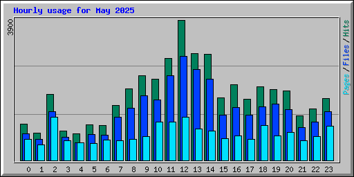 Hourly usage for May 2025