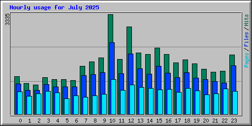 Hourly usage for July 2025