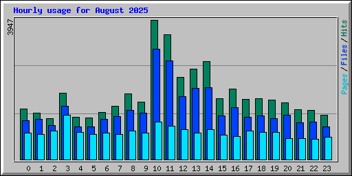 Hourly usage for August 2025