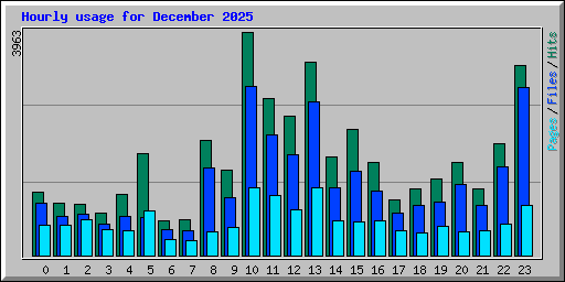 Hourly usage for December 2025
