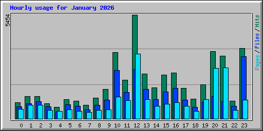 Hourly usage for January 2026