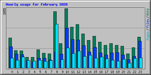 Hourly usage for February 2026